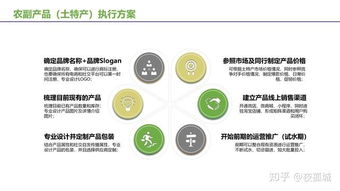 農(nóng)副產(chǎn)品及土特產(chǎn)電商運(yùn)營推廣 掌握互聯(lián)網(wǎng)營銷方法，開啟盈利之路